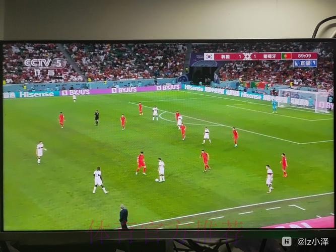 世界杯免费观看在哪里看